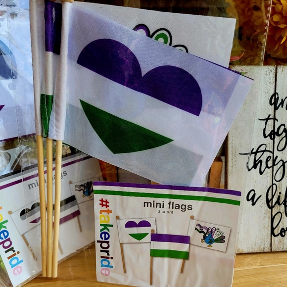 Target Accents Take Pride Asexual Pride Flags Poshmark